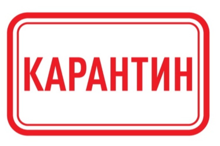 ВНИМАНИЕ КАРАНТИН!